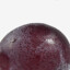 TheGrapist