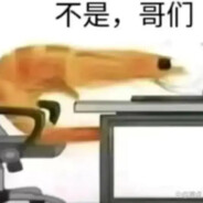 至尊玫瑰烫金闪耀龙虾