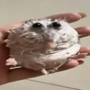 Чиф