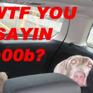bligid - steam id 76561197971695984