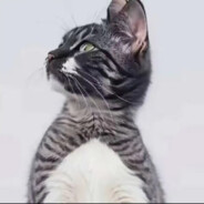 炒粉不要加鸡精