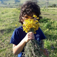 xuqrud - steam id 76561199722153696