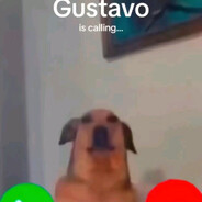 Gustavo
