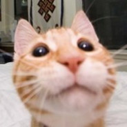 Кофта - steam id 76561197963436315