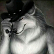 ФурриСвятослав2007