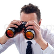 sarabear