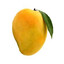► Mango