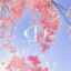 见夜思鹿
