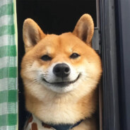 一生放荡不羁爱自由的