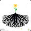 RootAccess
