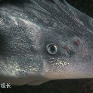 看见怂人压不住火