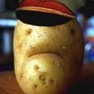 Potato