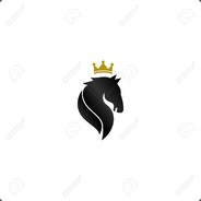 PROFESYONEL31CI