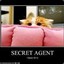 agent mittins