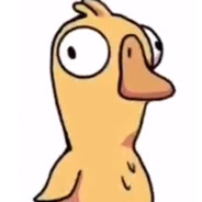 电脑玩家呆呆鸟