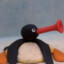 Pingu