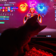 the race - steam id 76561198416865780