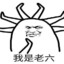 叶莲—老六