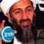 Osama Zyn Laden