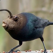 ЕГОР МИДЕР ЛОМАЕТ ЕБЛА