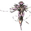 lyzrd