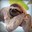Sloth