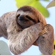 Sloth