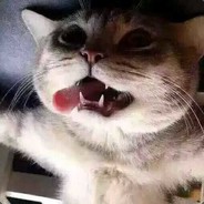 血泪盈襟，而你吻别