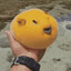 Delectable Mango