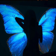 青青草原扛把子