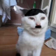 SosageRoll's Avatar