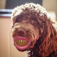Big Avatar
