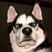 Mchik - steam id 76561199844190035