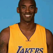 黄金铁肘黑曼巴