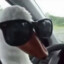mister_dok's avatar