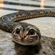 бабачай - steam id 76561199828558906