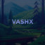 VashX