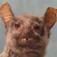 Turb0