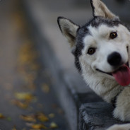 厄咒：摸鱼必被抓