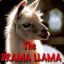 LLama