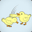 karate ducks