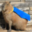 SUPERCAPYBARA