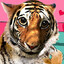 tiger that learned shame