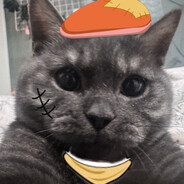 与AWM小姐结婚后出轨滋崩