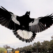 CAW