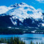 -ALASKA- PRATA ETERNO