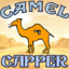 Camel Capper