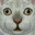9d38x7 avatar