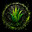 alooe