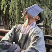 莫得感情的荷兰猪